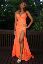 Load image into Gallery viewer, Color-Orange